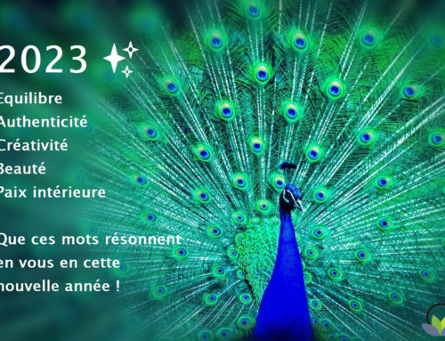 Bonne année 2023